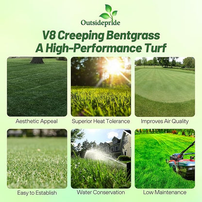 Outsidepride V8 Creeping Bentgrass Seed - 5 lbs. Fine-Bladed, Premium Quality Turf, Grass Seeds for Smooth Surface, & High-Traffic Areas, Ideal Grass for Golf Courses Putting Greens, & Fairways