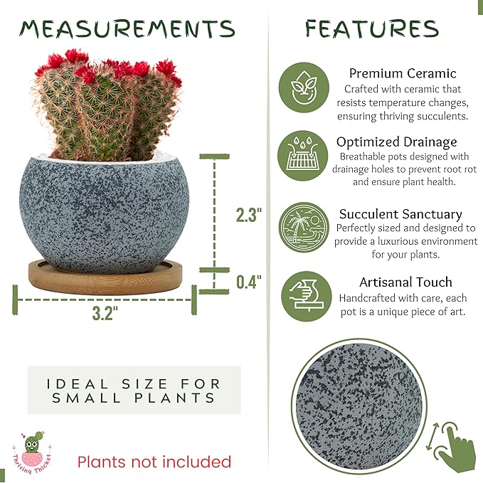 3 inch Ceramic pots for Plants, Small Succulent Pots Set with Drainage, 6 Pack Flower Pot for Indoor Plant, Planters for Little or mini Cactus 2 inches Plants (Green/Black)