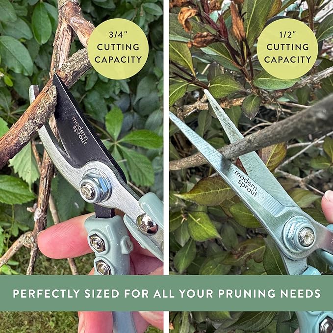 Modern Sprout Hand Pruners & Shears Set - Lightweight Gardening Tools W/Easy Lock - Sharp Carbon Steel Blades -Rust Resistant Scissors for Herbs, Flowers - Reusable Holster - Green