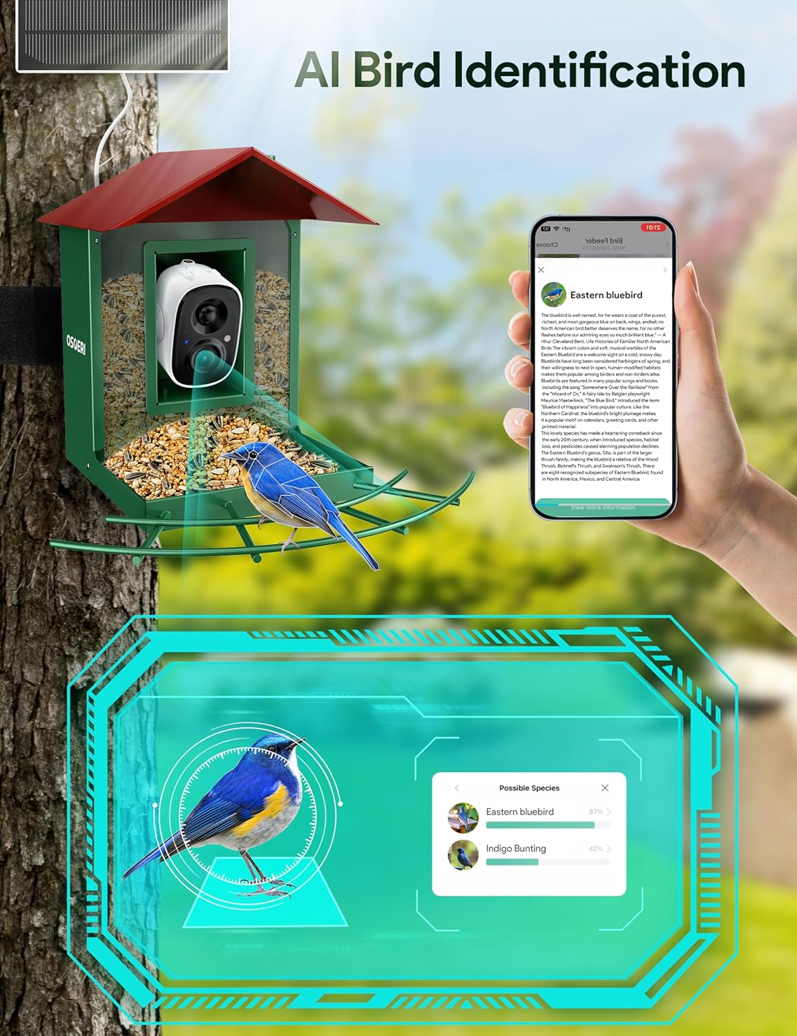 Osoeri Bird Feeder with Camera, Camera Bird Feeder for Outside, Solar-Powered, Smart AI Identify Birds, Auto Capture Video & Instant Arrival Alert, Ideal Gift for Family and Birdlover