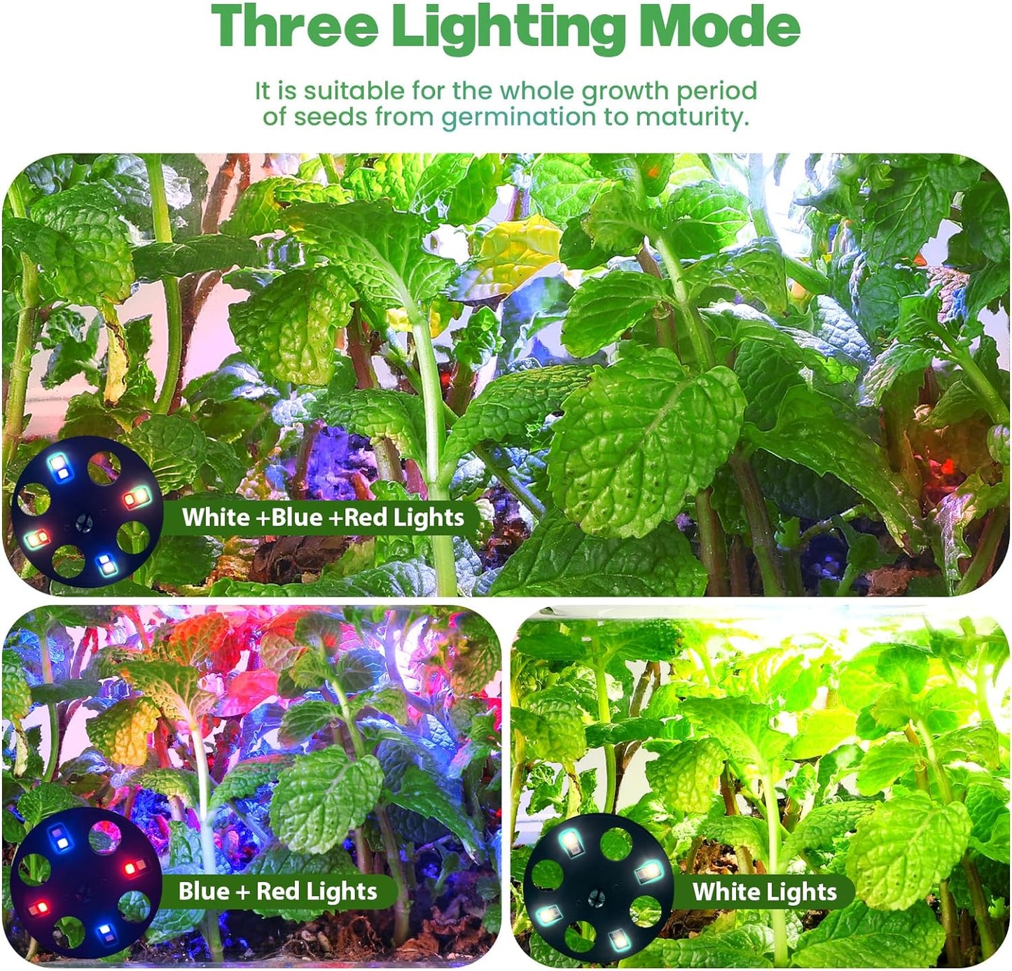 Seed Starter Trays with Grow Lights and Heat Mat, 72 Cells Seed Starter Kit with Lights, 3 Lighting Mode, 4 Timing Set, Germination Kit for Seed Starting Trays with High Humidity Control Domes