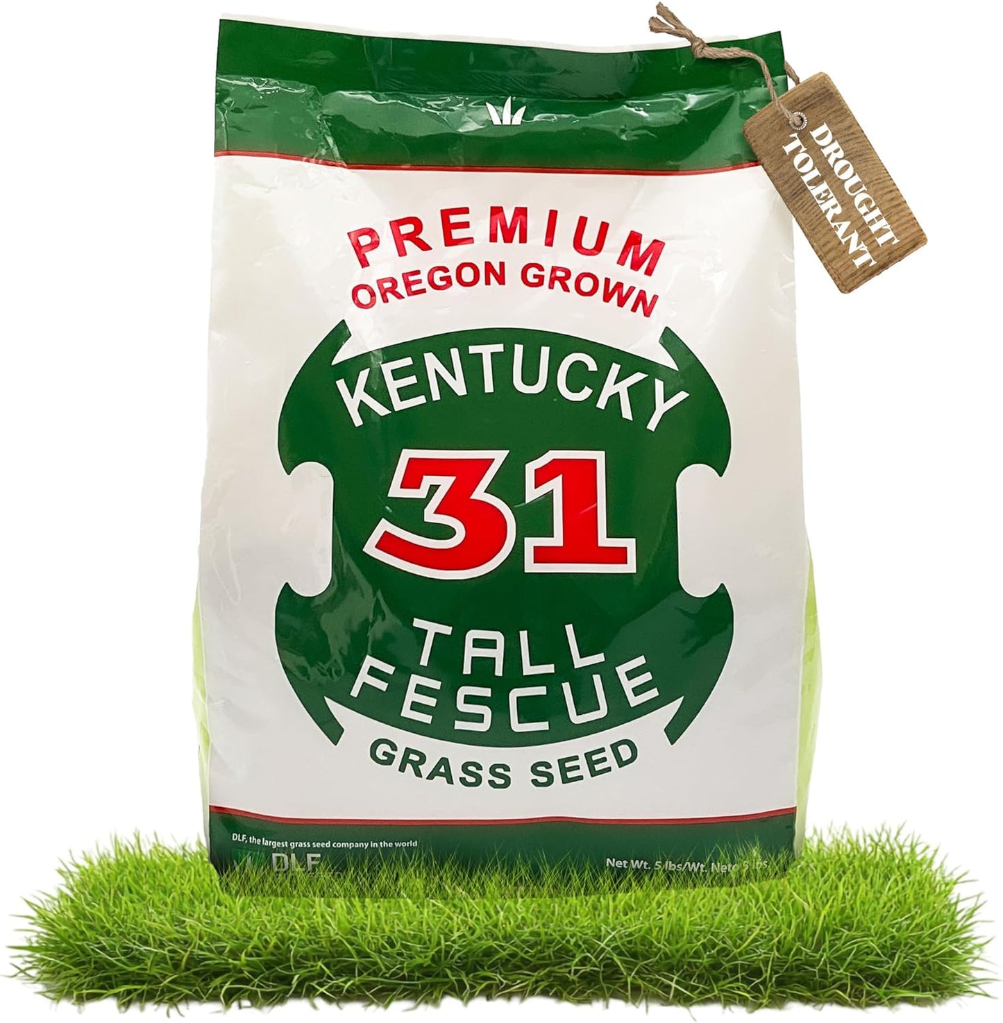 X-Seed Oregon Grown Kentucky 31 Tall Fescue Grass Seed for Sun and Shade Drought-Resistant Lawn for High Traffic, Forage & Turf Grass – Designed for Extreme Durability & Retaining Moisture – 5 lb Bag