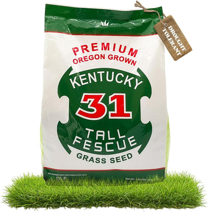 X-Seed Oregon Grown Kentucky 31 Tall Fescue Grass Seed for Sun and Shade Drought-Resistant Lawn for High Traffic, Forage & Turf Grass – Designed for Extreme Durability & Retaining Moisture – 5 lb Bag