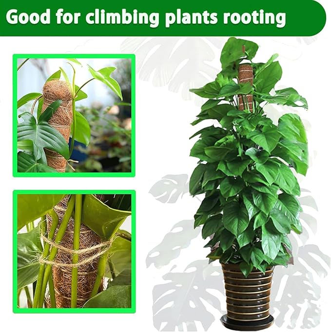 Moss Pole, 4Pack 21 Inch Plant Support Stakes for Indoor Plants, Monstera Plant Support Stakes, 69 Inch Tall Coir Plant Pole Sticks for Potted Plants, Pothos, Philodendron, Climbing Plants Accessories