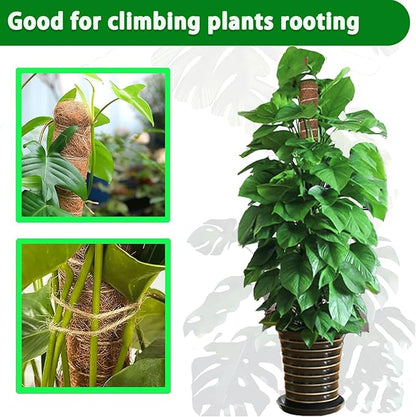 Moss Pole, 4Pack 21 Inch Plant Support Stakes for Indoor Plants, Monstera Plant Support Stakes, 69 Inch Tall Coir Plant Pole Sticks for Potted Plants, Pothos, Philodendron, Climbing Plants Accessories
