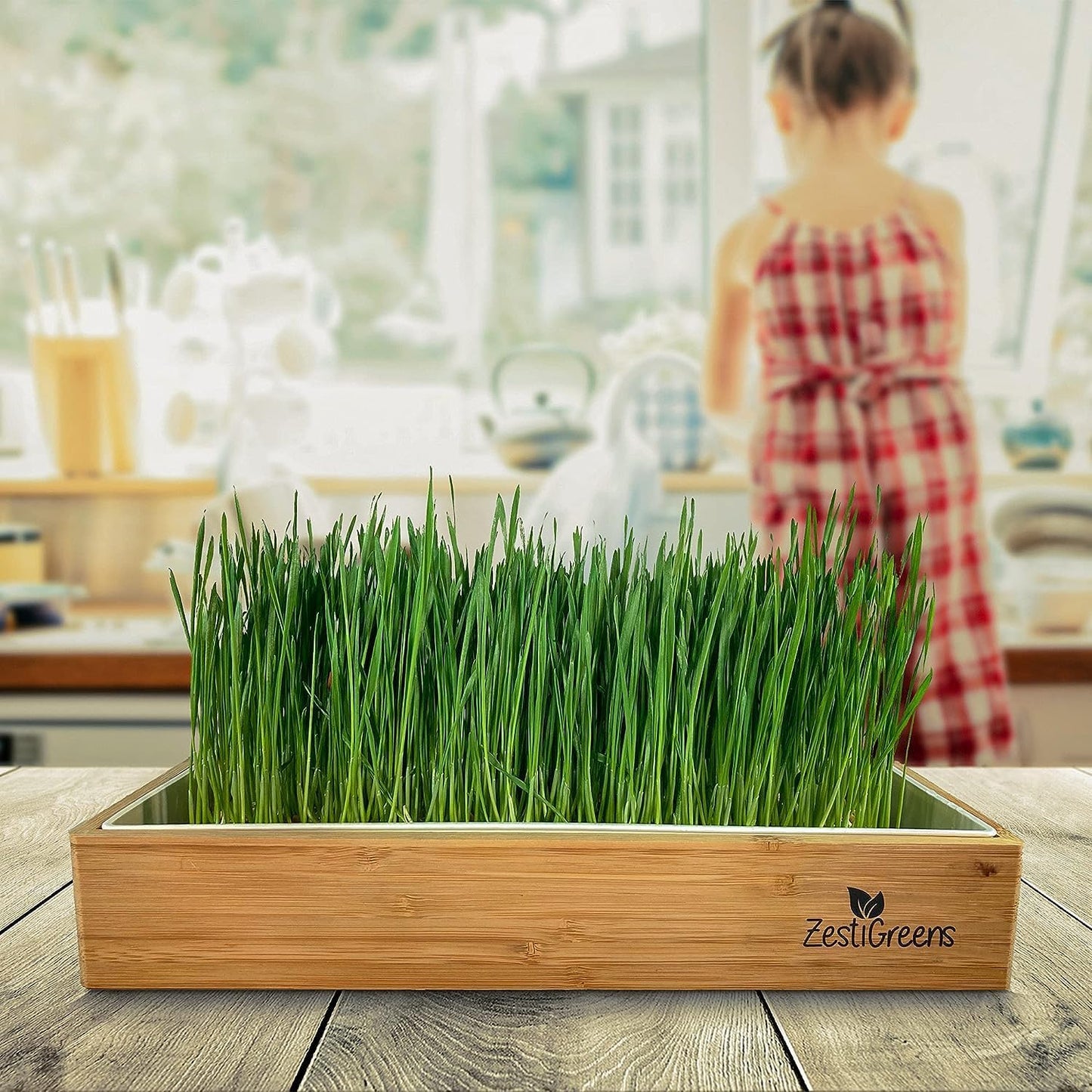 Organic Wheatgrass Growing Kit, Self Watering, with Soilless Grow Mats. The Easy Way to Grow & Juice Healthy Wheat Grass & Make Cat Grass. Bamboo Surround & Black Out Lid. (Organic Wheatgrass Kit)