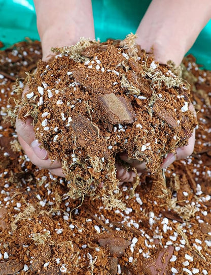 TOYPOPOR Orchid Potting Mix (6qts) for Repotting with Moss Pine Bark Mulch Perlite Stone and Coco Peat Natural Ingredients, Orchid Bark Potting Mix Orchid Repotting Kit Drainage Indoor Potting Medium