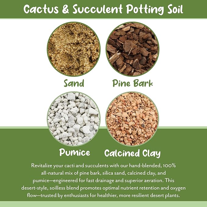 Cactus and Succulent Potting Mix (2 Quarts), Special Blend-Fast Draining and Desert-Style Gritty