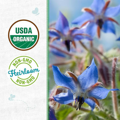 Back to The Roots 100% Organic Heirloom Seeds - Borage Blue Flower Value Pack (2g Total)