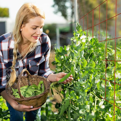 DOEWORKS Cucumber Trellis, 56" High Foldable A Frame Garden Trellis, 2 Pack, Plant Support for Climbing Cucumber, Beans, Tomatoes, Flowers, Red