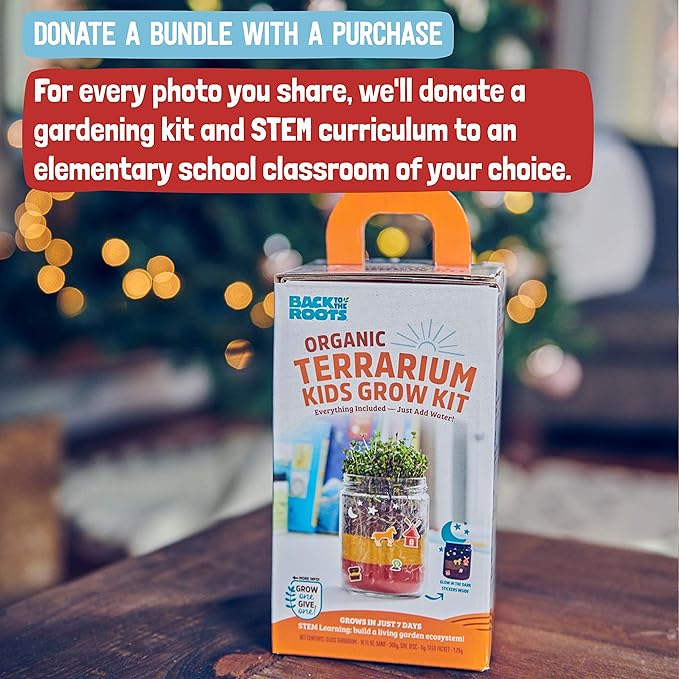 Back to the Roots Terrarium Grow Kit - Easy-to-Use DIY Set for All Ages Small