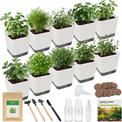 10-Set Indoor Herb Garden Starter Kit, 7 Seeds Growing into Basil, Parsley, Thyme, Mint, Cilantro, Dill, Oregano Including 10 White Pots, Markers, Nutritional Soil, Ideal Christmas Gifts for Women