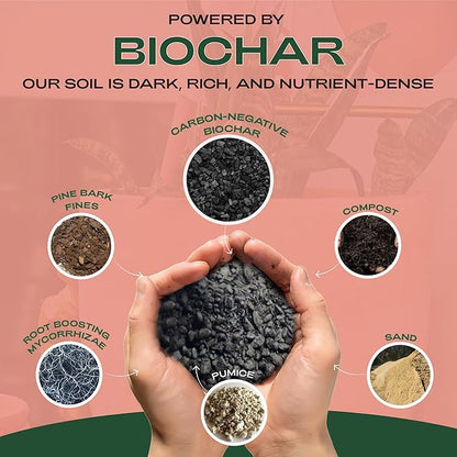 Rosy Soil Cactus and Succulent Potting Soil Mix for Houseplants - Fast Draining Organic Potting Soil for Succulents, AloeVera, Indoor Plant - Root Boosting for Drought Tolerant Growth, Pack of 2