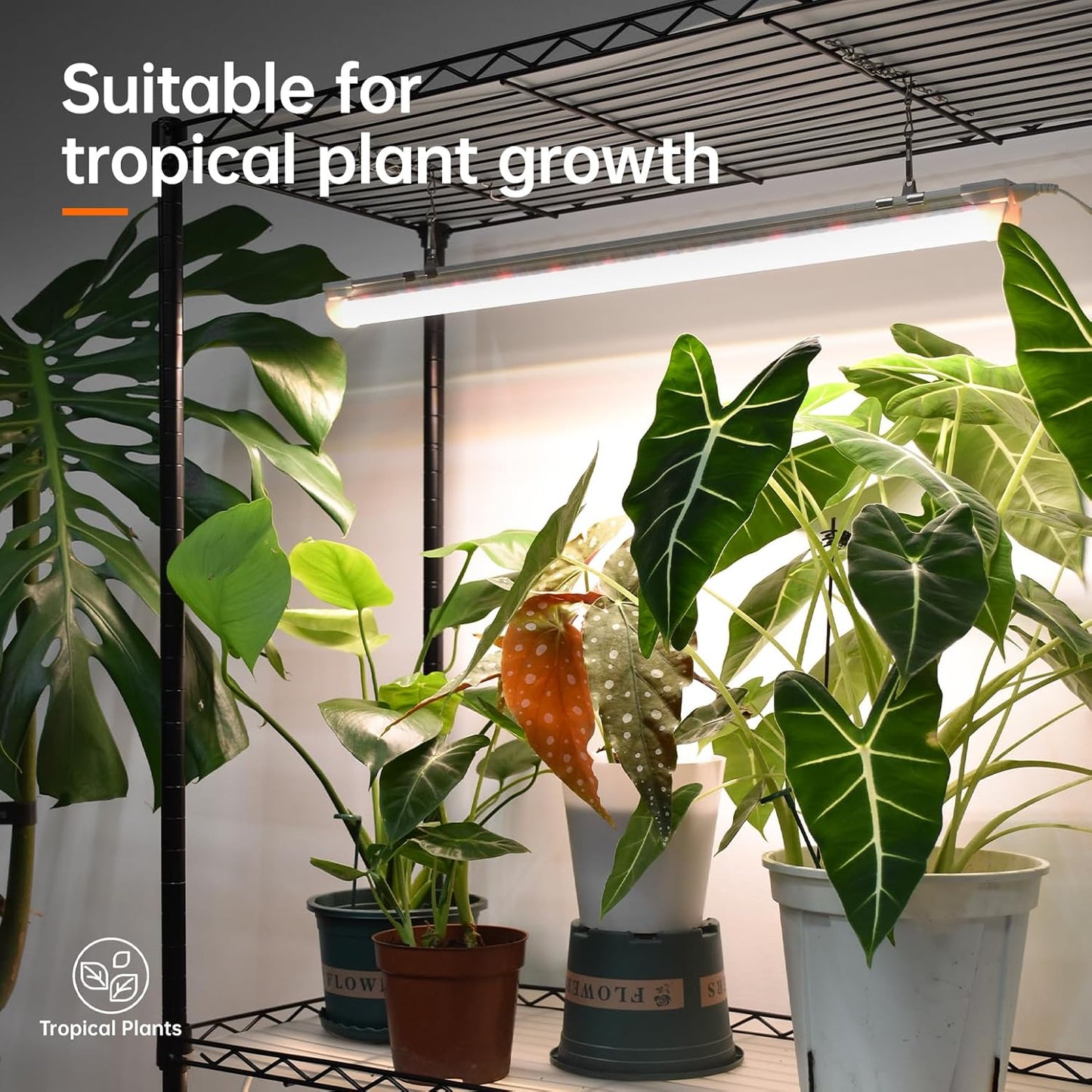 Bstrip Plant Shelf with Grow Light, Metal Plant Stand with Adjustable Rack and Wheels, 5 Pack 24W Full Spectrum Grow Light Strip for Indoor Plants, Seed Starting, Seed Tray, 29.5"x13.8"x71"