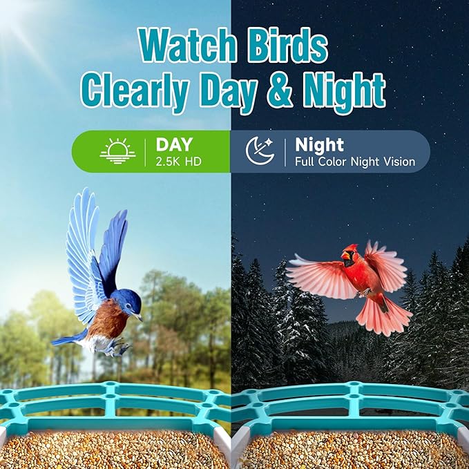 No-Monthly-Fees Solar Bird Feeder with 4MP Camera, Free AI Birds Species Identification, 2.5K Smart Bird House with Cam, Instant Arrival Alerts, Squirrel-Proof, Ideal