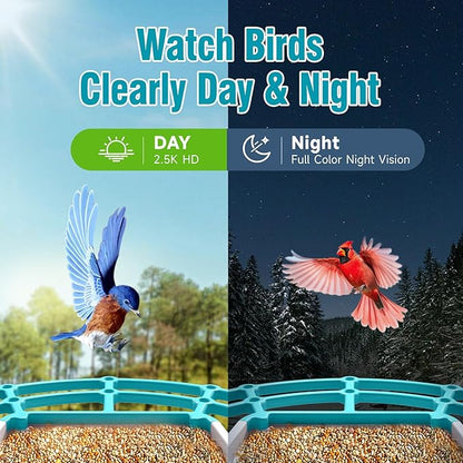 No-Monthly-Fees Solar Bird Feeder with 4MP Camera, Free AI Birds Species Identification, 2.5K Smart Bird House with Cam, Instant Arrival Alerts, Squirrel-Proof, Ideal