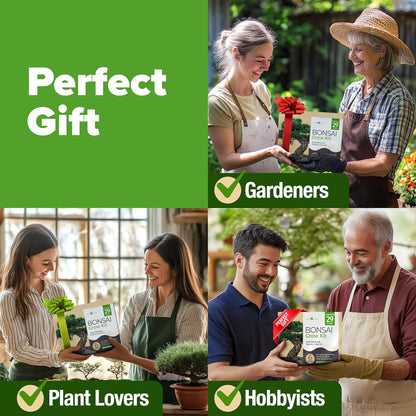 HOME GROWN 𝗨𝗦𝗔 Bonsai Tree Kit – 6 Heirloom Varieties with Unique Pots – DIY Bonsai Starter Kit for Adults & Beginners – Christmas Gift for Men Women Gardeners Plant Lovers – Indoor Growing Kit