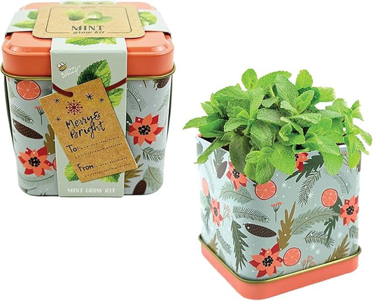 BUZZY Seeds Holiday Mint Square Tin 2-Pack Grow Kit Complete with Non-GMO Seeds and Growing Medium in Decorative Collectible Tins, Stocking Stuffer, Party Favors