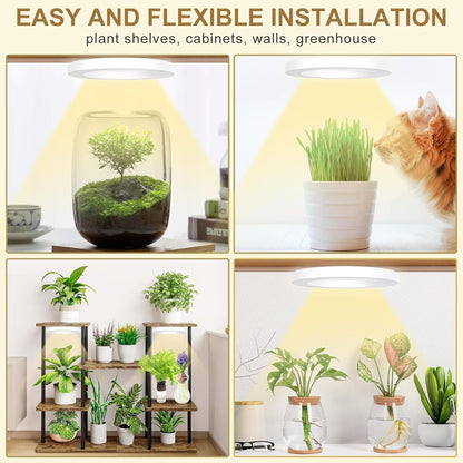 Full Spectrum Grow Light for Indoor Plants, 144 LEDs Halo Plant Light with Auto On/Off Timer (4/8/12H), 10-Level Brightness, 3 Lighting Modes, for Small Plants & Seedlings (White, Dual Head)