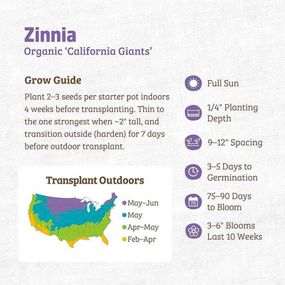 Back to The Roots 100% Organic Heirloom Seeds - Giant Zinnia Flowers Value Pack (420mg Total)