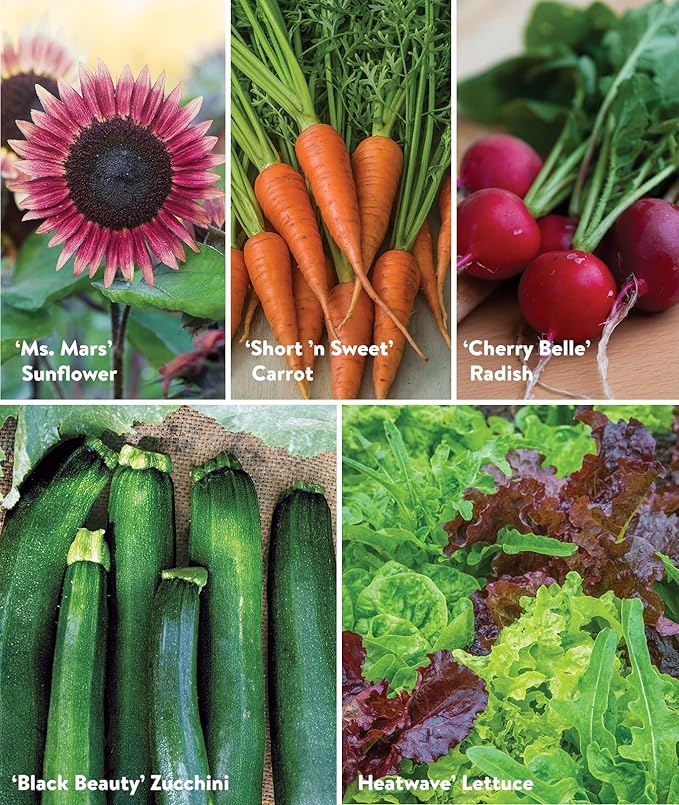 Burpee Garden Sown Flower, Herb & Vegetable 10 Packs of Non-GMO Basil, Lettuce, Cucumber, Radish, Spinach, Kale, Zucchini, Sunflower & Marigold, Seeds for Planting
