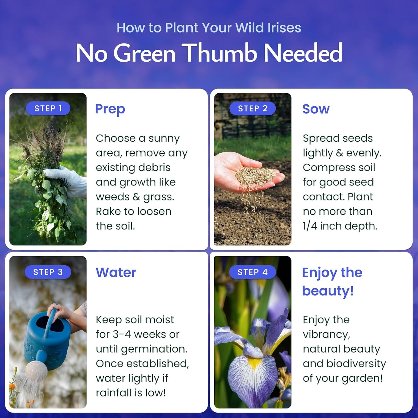 Created By Nature Wild Iris Seeds, 400 Purple Perennial Flower Seeds