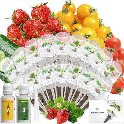 LYKOCLEAN Fruits Seed Pod Kit for AeroGarden, Ahopegarden, iDoo, GARDENCUBE, MUFGA with Strawberry, Cucumber, Red/Golden Cherry Tomato, Compatible with All Indoor Hydroponics Growing System, 16-Pod