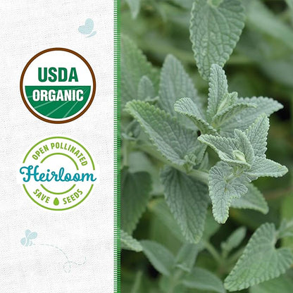 Back to The Roots 100% Organic Heirloom Seeds - Catnip Mint Seeds for Planting Value Pack (200mg Total)