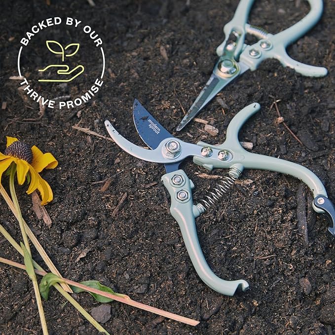 Modern Sprout Hand Pruners & Shears Set with Blister Pack - Lightweight Gardening Tools with Easy Lock - Sharp Carbon Steel Blades -Rust Resistant Scissors for Herbs, Flowers - Chartreuse