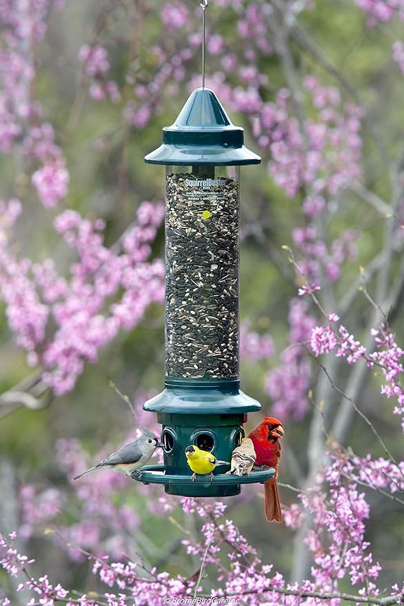 Squirrel Buster Plus Squirrel-proof Bird Feeder w/Cardinal Ring and 6 Feeding Ports, 5.1-pound Seed Capacity, Adjustable, Pole-mountable (POLE ADAPTOR SOLD SEPARATELY), Green