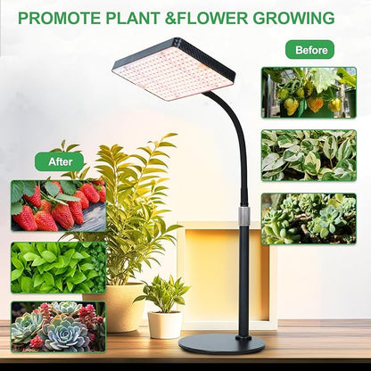 25W Table Top Grow Lights for Indoor Plants, Seed Starting, Bonsai with Timer Auto On/Off, 2500 Lumen Enough Bright Like A Small Sun for Your Jungle, Daisy Chain Function, 16"-24" Height Adjustable