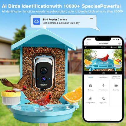 Smart Bird Feeder with Camera Solar Powered, AI Birds Species Identification, 2.5k HD Video Bird House with Camera for Outside, Weatherproof Design Ideal Gifts for Bird Lovers, Blue