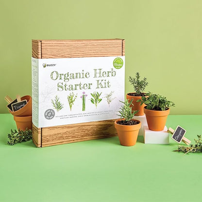 BUZZY Seeds 9 Pot Terracotta Grow Kit Organic Herb Seed Starter Set for Indoor Planting | Includes Seeds, Planting Pots, Soil and Plant Markers, Easy Gardening Gift, Kids Project, Gifts for Teachers