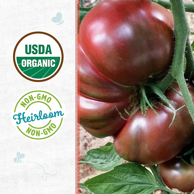 Back to The Roots 100% Organic Heirloom Seeds - Heirloom Cherokee Purple Tomato Seeds for Planting Value Pack (200mg Total)
