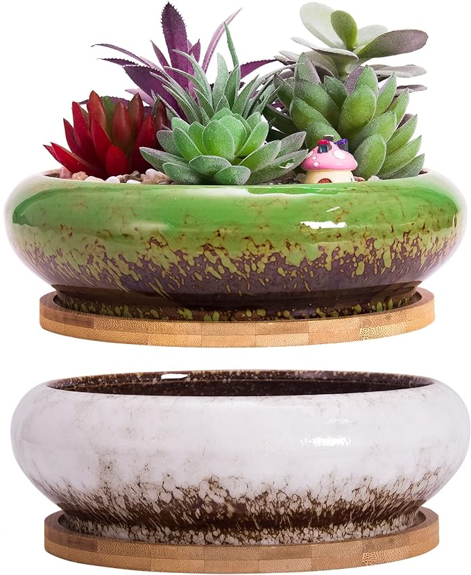 ARTKETTY Succulent Pots with Drainage, 2 Pack Large Succulent Planters Ceramic Bonsai Pot with Trays, 7.3 Inch Round Shallow Planters for Indoor Cactus Flower Plants
