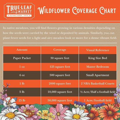 Wildflower Seeds Bulk, 2 Oz. 80,000+ Seeds – Butterfly & Hummingbird Mix with 23 Non-GMO Varieties – Pollinator Flower Seed for Planting