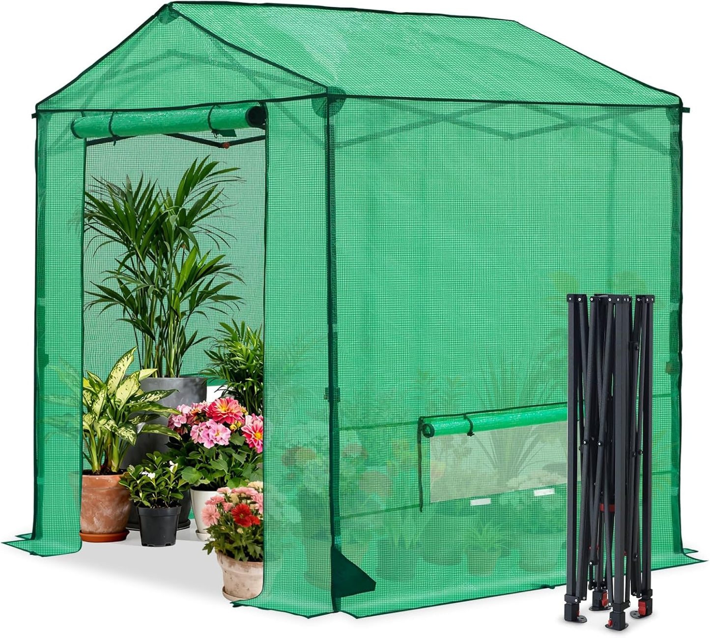COOS BAY 6x6 FT Portable Walk-in Greenhouse, Pop up Outdoor Green House with Power Access Openings, Zippered Doors & Windows, Durable PE Cover, Green