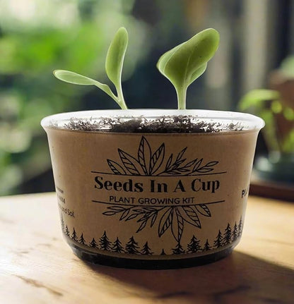American Ash Tree | Seed Starter Grow Kit | Seeds In A Cup®