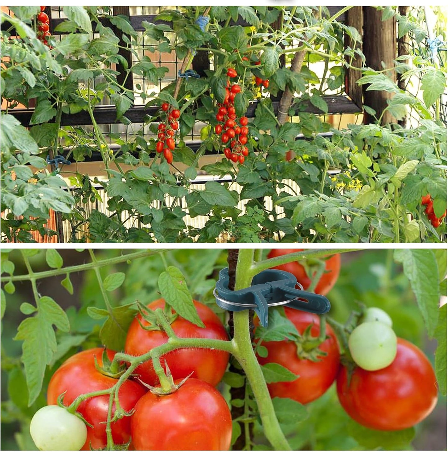 Plant Support Clips, 120 PCS Gentle Flower Plant Clamps for Supporting Vine Climbing Plants, Gardening Lever Loop Gripper Clips Help Stems Vines Grow Straight Upright, 2 Sizes in one Pack