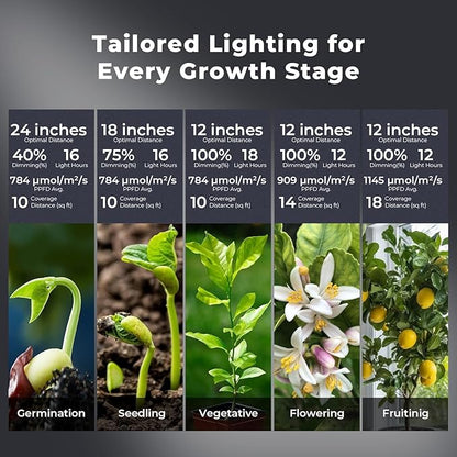 Hanging Grow Light for Indoor Plants, Full Spectrum LED, 200W High PPFD, Dimmable with Timer & Daisy Chain, IP65 Waterproof Grow Light, for Seed Starting, Vegetative, Bloom & Fruiting