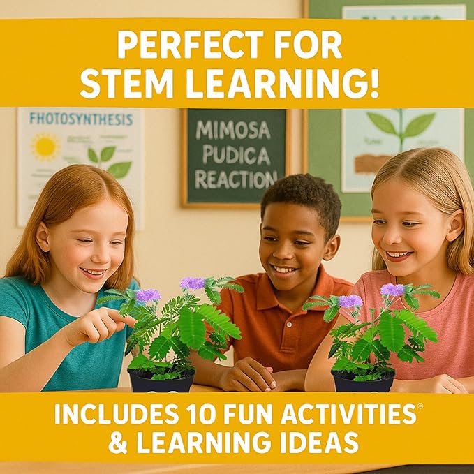 TickleMe Plant Seeds for Indoor Planting (2-Pack) – Interactive Party Favor | Leaves Close When Touched, Reopen in Minutes – Easy Indoor House Plant Seeds, Can Flower, Includes 10 Fun Activities