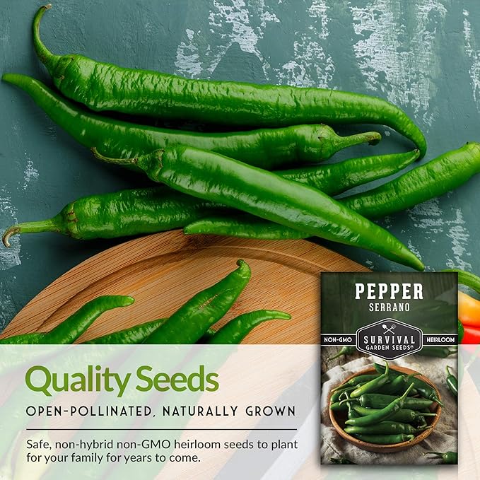 Mexican Serrano Pepper Seeds for Planting | Fresh Hot Chili & Green Hot Pepper Seeds – Heirloom Non-GMO Variety for Sauce, Salsa & Pickling – Survival Garden Seeds (5 Packs)