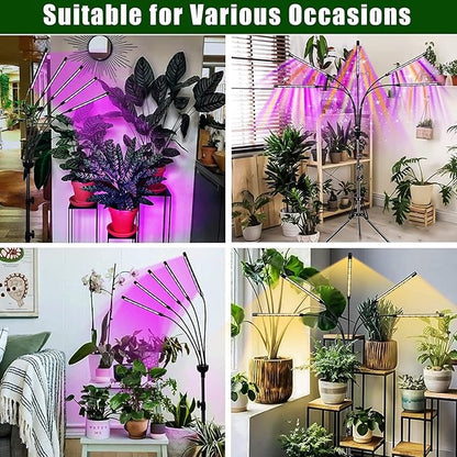 Grow Lights for Indoor Plants,5 Heads Red Blue White Full Spectrum Plant Light with 15-60" Adjustable Tripod Stand, Indoor Grow Lamp with Remote Control and Auto On/Off Timer Function