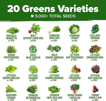 HOME GROWN 21,600+ Lettuce Seeds for Planting - 20 Heirloom Varieties, Non-GMO USA - Romaine, Butterhead, Iceberg, Leaf Lettuce, Spinach & Kale - Indoor, Outdoor & Hydroponic Garden Kit