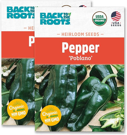 Back to The Roots 100% Organic Heirloom Seeds - Poblano Chili Pepper Value Pack (280mg Total)