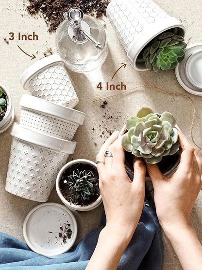 LE TAUCI 3 Inch Mini Succulent Pots - Very Small Ceramic Planter with Saucer, Tiny Embossed Flower Pots for Lithops, Mini Cactus, Air Plants, Fairy Gardens - Indoor Home Decor, Set of 4, Arctic White