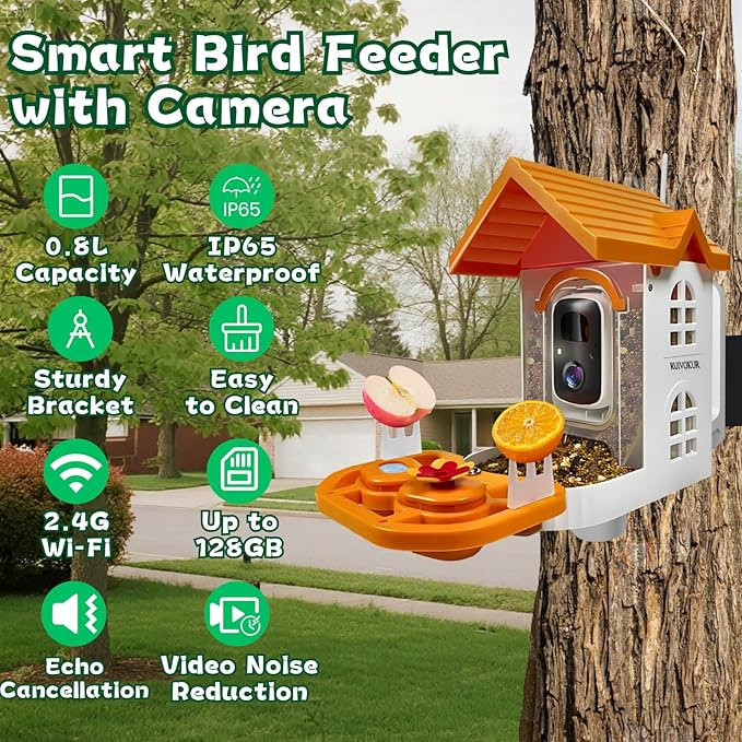 Smart Bird Feeder with Camera, 2.4GHz WiFi Watching Camera Bird Feeders for Outdoors Solar Powered, AI Identify 11,000 Birds Species, Instant Arrival Alerts, Auto Capture 2K HD Live Videos