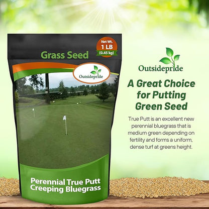 Outsidepride True Putt Perennial Creeping Bluegrass Seed - 1 Lb. Shade-Tolerant Bluegrass for Golf Courses & Home Putting Greens - Ideal for Dense, Fine-Textured Lush Turf in Low-Light Areas
