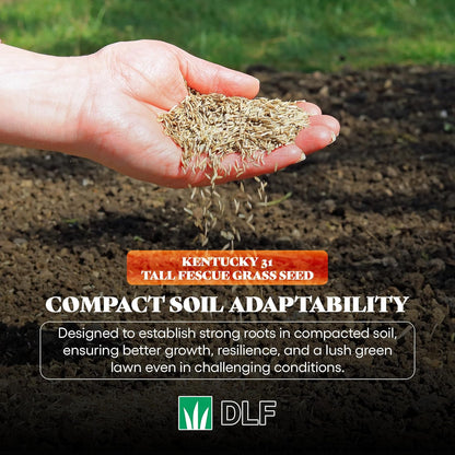 X-Seed Oregon Grown Kentucky 31 Tall Fescue Grass Seed for Sun and Shade Drought-Resistant Lawn for High Traffic, Forage & Turf Grass – Designed for Extreme Durability & Retaining Moisture – 5 lb Bag