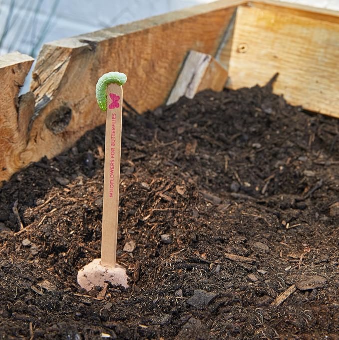 Modern Sprout Seed Pops - Organic Non-GMO Humble Bee, Butterfly & Song Bird Wildflower Seeds - Fun Family Activity - Ideal for Indoor & Outdoor - Gift for Kids, Adults & Plant Lovers (Pack of 12)